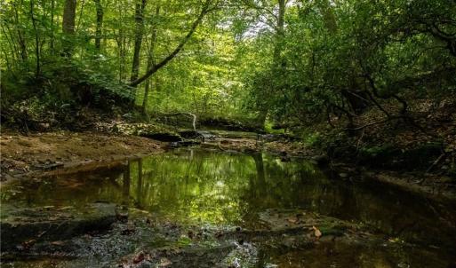 Creek crosses the property