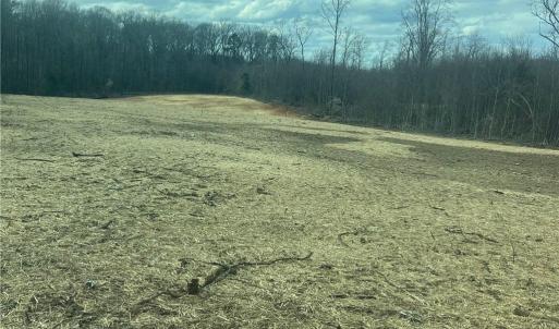 Photo #2 of 195 H L Palmer, Lexington, NC 1.1 acres