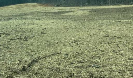Photo #1 of 195 H L Palmer, Lexington, NC 1.1 acres
