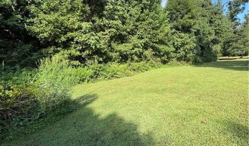 Photo #22 of Doral, Tobaccoville, NC 12.9 acres