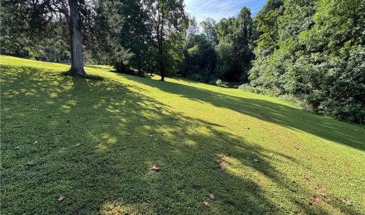 Photo #10 of Doral, Tobaccoville, NC 12.9 acres