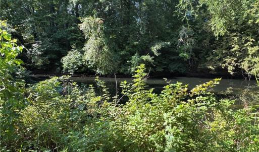 Photo #25 of Doral, Tobaccoville, NC 12.9 acres