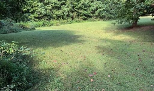 Photo #23 of Doral, Tobaccoville, NC 12.9 acres