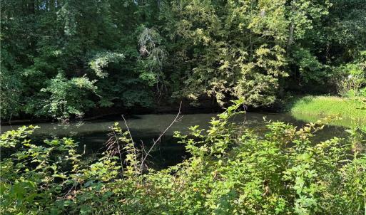 Photo #16 of Doral, Tobaccoville, NC 12.9 acres