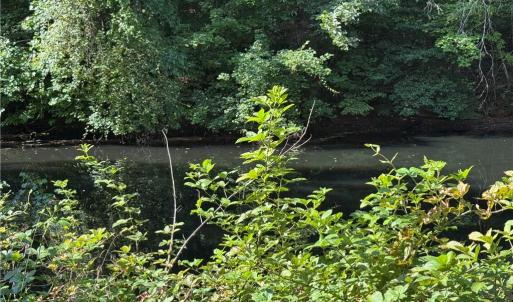 Photo #5 of Doral, Tobaccoville, NC 12.9 acres