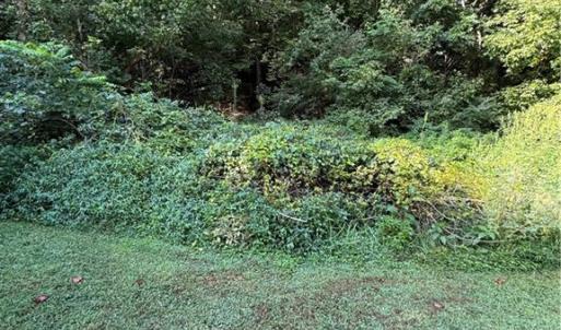 Photo #30 of Doral, Tobaccoville, NC 12.9 acres