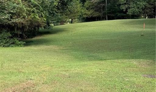Photo #34 of Doral, Tobaccoville, NC 12.9 acres