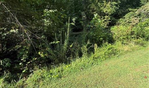 Photo #29 of Doral, Tobaccoville, NC 12.9 acres