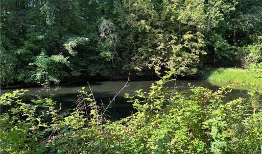 Photo #16 of Doral, Tobaccoville, NC 12.9 acres