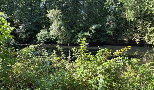 Photo #25 of Doral, Tobaccoville, NC 12.9 acres