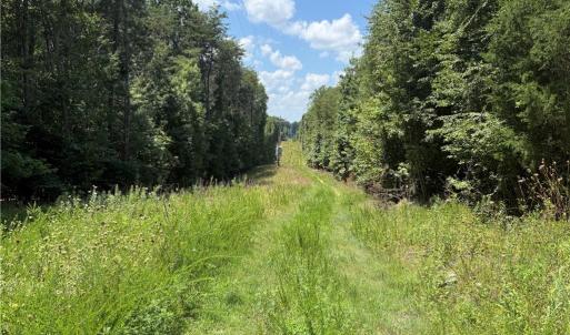 Photo #4 of 438 River Pines, Clemmons, NC 54.5 acres