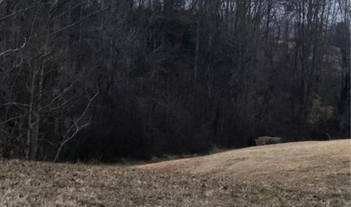 Photo #26 of 1670 Frank Hulin, Lexington, NC 33.2 acres