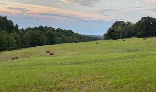 Photo #18 of 1670 Frank Hulin, Lexington, NC 33.2 acres