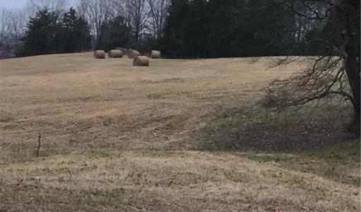 Photo #23 of 1670 Frank Hulin, Lexington, NC 33.2 acres