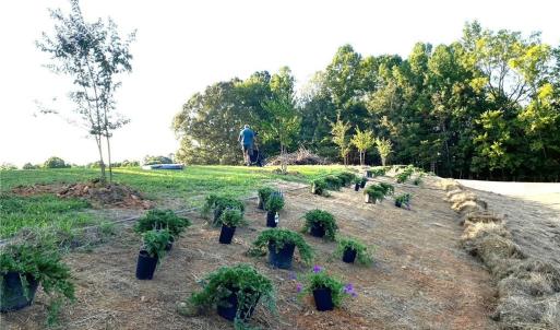 Photo #2 of 1670 Frank Hulin, Lexington, NC 33.2 acres