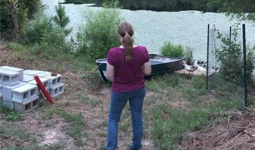 Photo #17 of 1670 Frank Hulin, Lexington, NC 33.2 acres