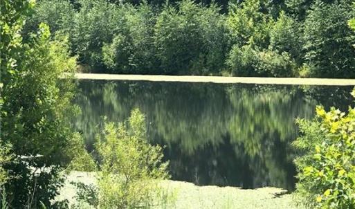 Photo #7 of 1670 Frank Hulin, Lexington, NC 33.2 acres