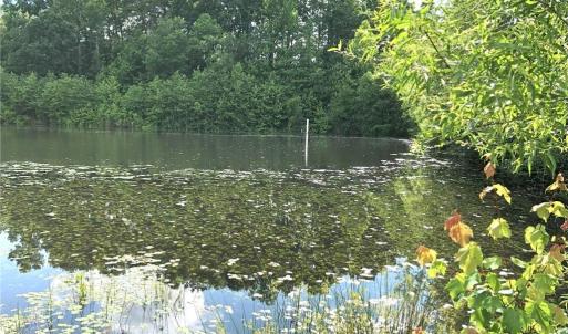 Photo #4 of 1670 Frank Hulin, Lexington, NC 33.2 acres