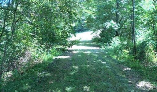Photo #12 of 1670 Frank Hulin, Lexington, NC 33.2 acres