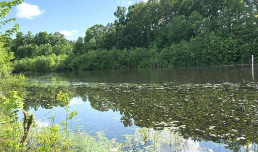 Photo #15 of 1670 Frank Hulin, Lexington, NC 33.2 acres