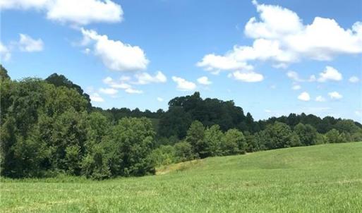 Photo #11 of 1670 Frank Hulin, Lexington, NC 33.2 acres