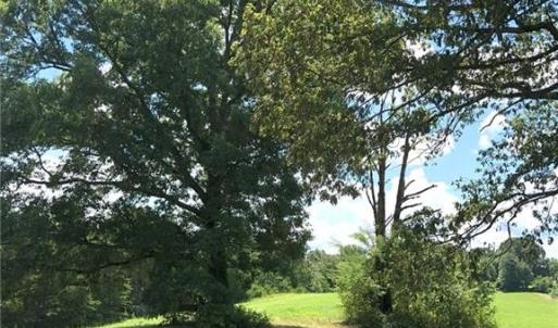 Photo #8 of 1670 Frank Hulin, Lexington, NC 33.2 acres