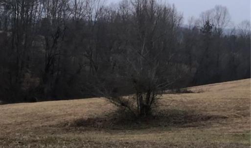 Photo #25 of 1670 Frank Hulin, Lexington, NC 33.2 acres
