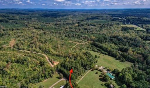 Photo #2 of Bluestone, Ruffin, NC 1.7 acres