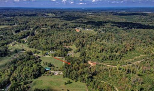 Photo #3 of Bluestone, Ruffin, NC 1.7 acres