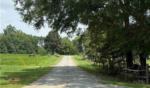 Looking down Bluestone