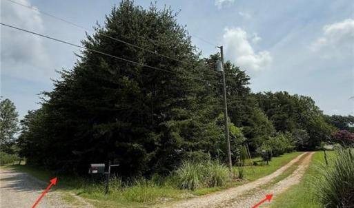 Photo #4 of Bluestone, Ruffin, NC 1.7 acres