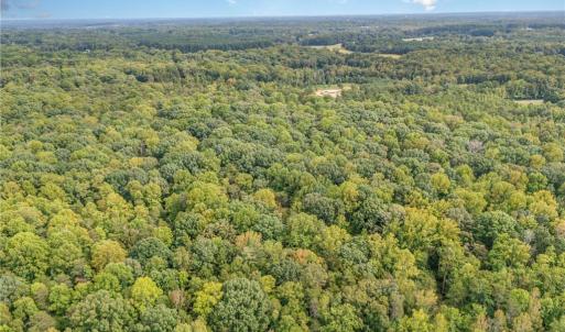 Photo #5 of Ralph Ratledge, Mocksville, NC 77.2 acres