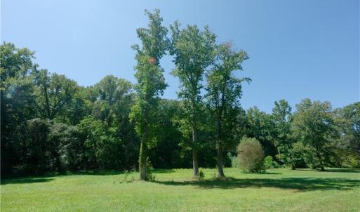 Photo #23 of 4942 Red Pine, Pfafftown, NC 4.2 acres
