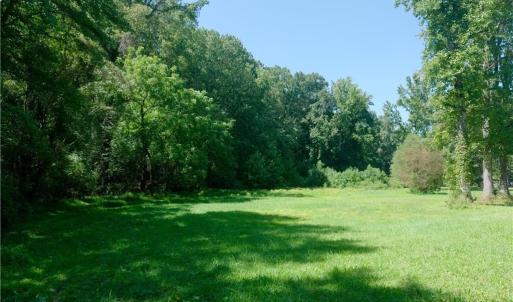 Photo #27 of 4942 Red Pine, Pfafftown, NC 4.2 acres