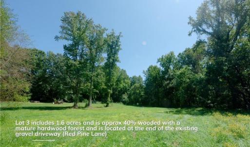 Photo #17 of 4942 Red Pine, Pfafftown, NC 4.2 acres
