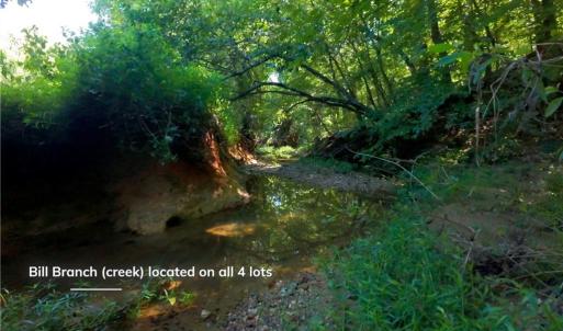 Photo #9 of 4942 Red Pine, Pfafftown, NC 4.2 acres