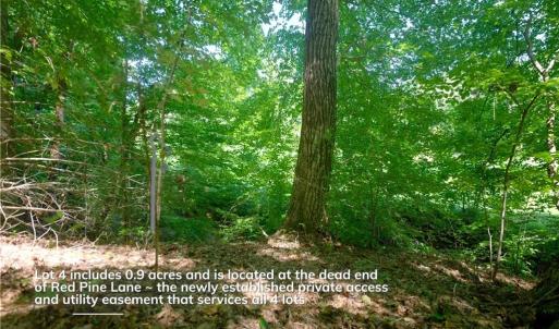 Photo #24 of 4942 Red Pine, Pfafftown, NC 4.2 acres