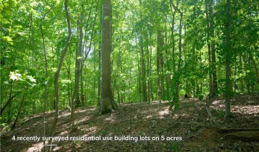 Photo #19 of 4942 Red Pine, Pfafftown, NC 4.2 acres