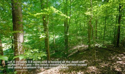 Photo #25 of 4942 Red Pine, Pfafftown, NC 4.2 acres