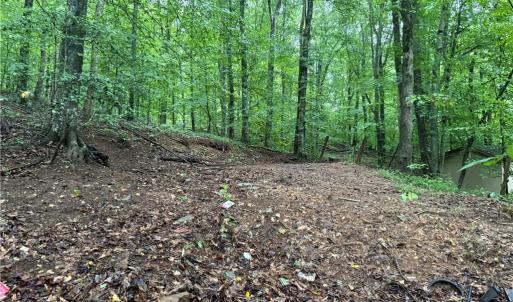 Photo #12 of 7680 Donnaha, Tobaccoville, NC 1.8 acres