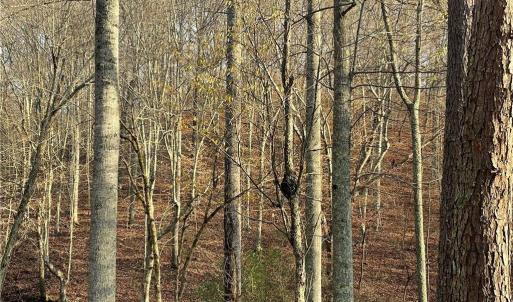 Photo #22 of 7680 Donnaha, Tobaccoville, NC 1.8 acres