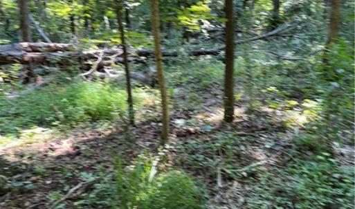 Photo #7 of 3138 Maple, Burlington, NC 5.0 acres