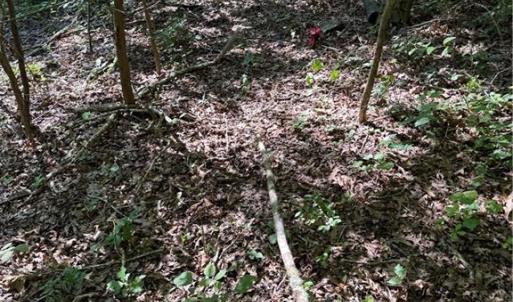 Photo #9 of 3138 Maple, Burlington, NC 5.0 acres