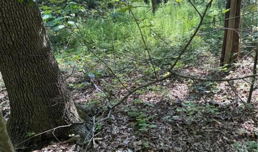 Photo #10 of 3138 Maple, Burlington, NC 5.0 acres