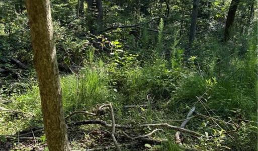 Photo #11 of 3138 Maple, Burlington, NC 5.0 acres