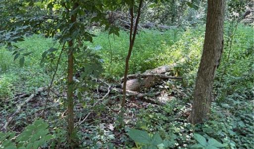 Photo #4 of 3138 Maple, Burlington, NC 5.0 acres