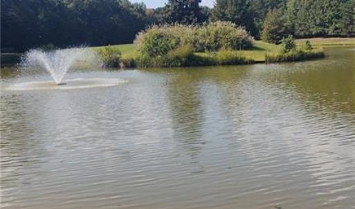 Pond Behind Property