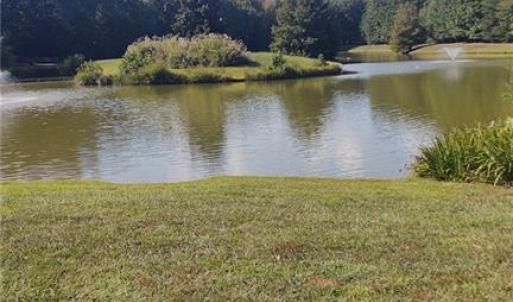 Pond Behind Property