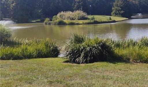 Pond Behind Property