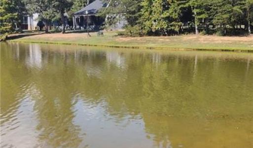 Pond Behind Property